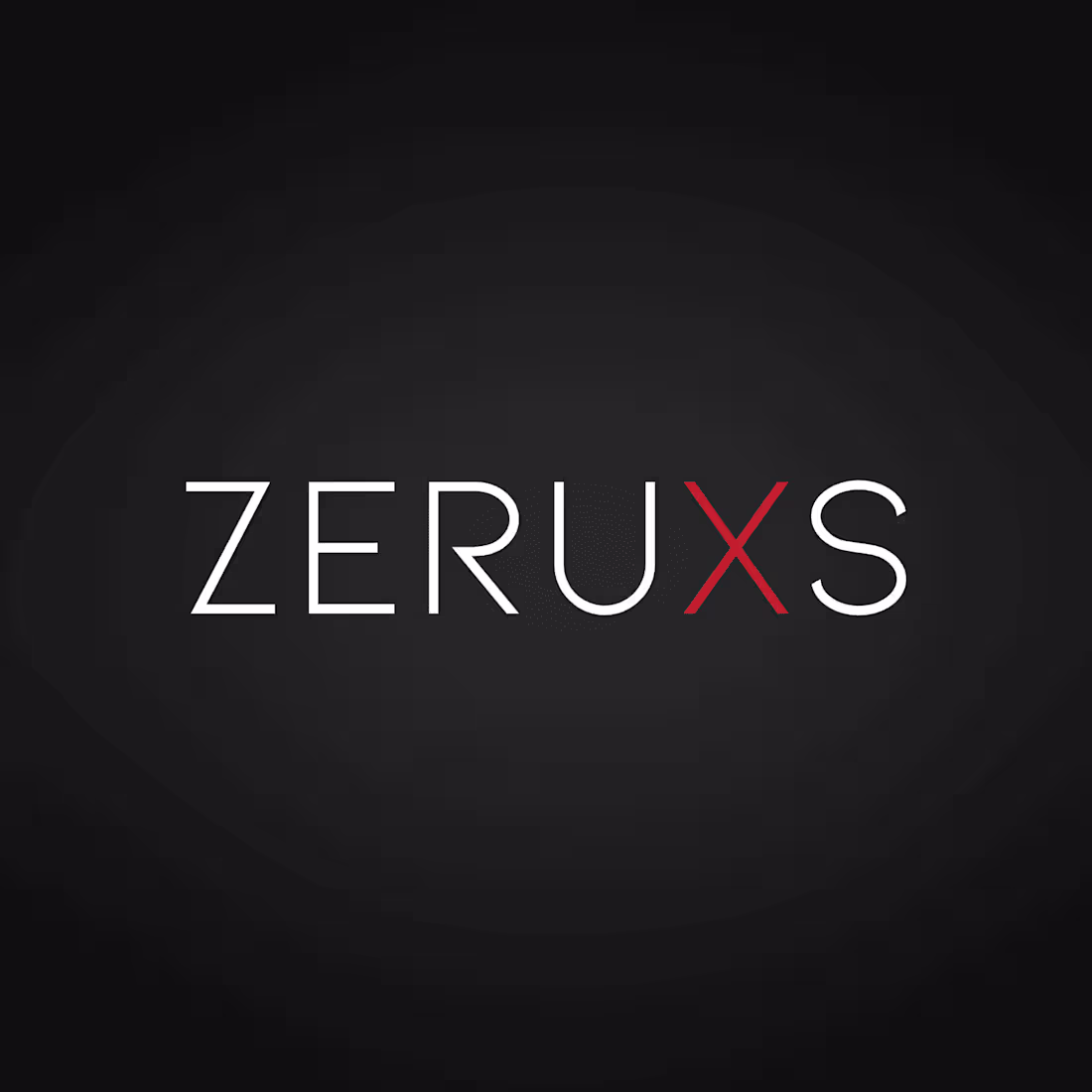 Cover image for Zeruxs - Digital Media Agency (Logo Development)