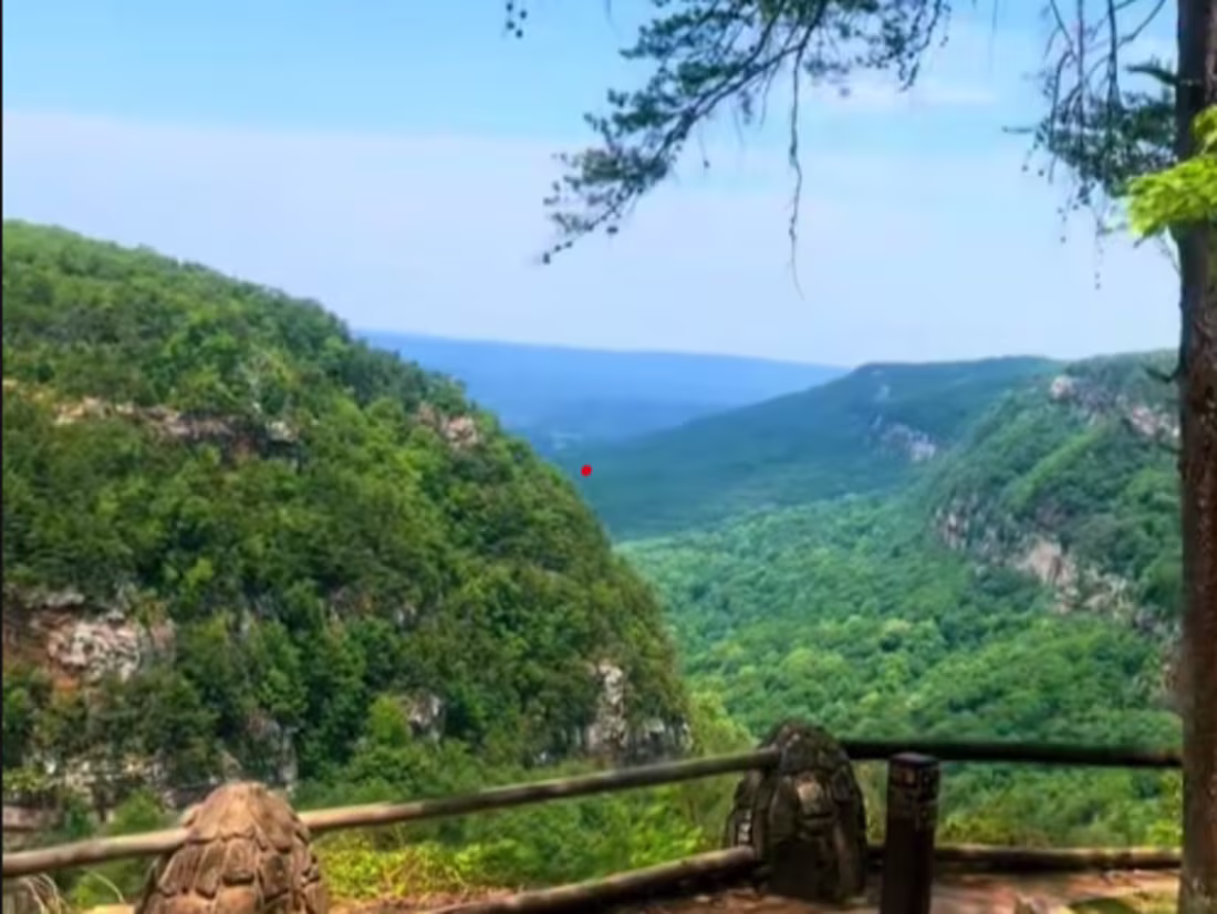 Cover image for TikTok - Make Your Day