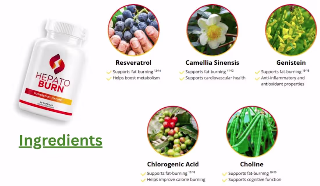 Cover image for HEPATOBURN : (STEP-BY-STEP RECIPE) - WHAT IS THE HEPATOBURN?