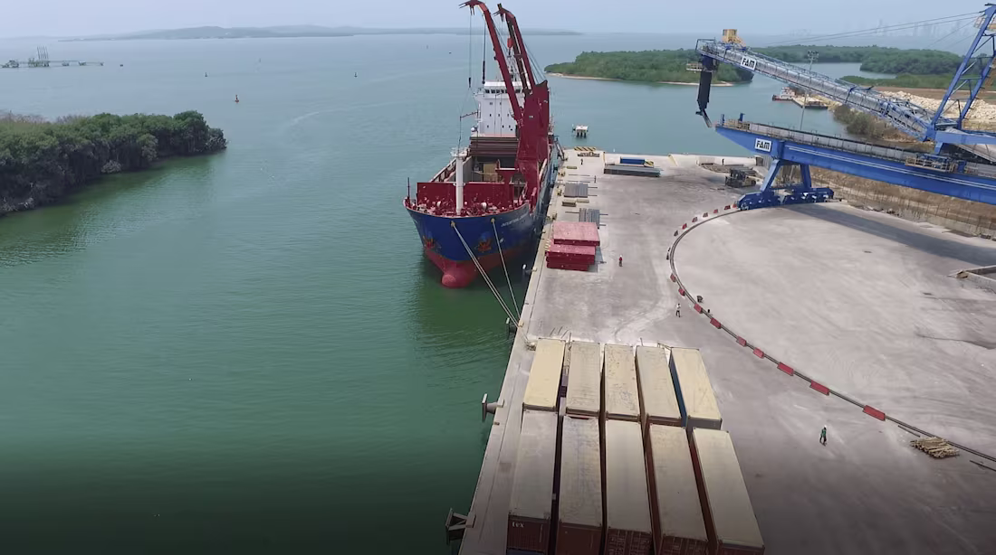 Cover image for MAM 360