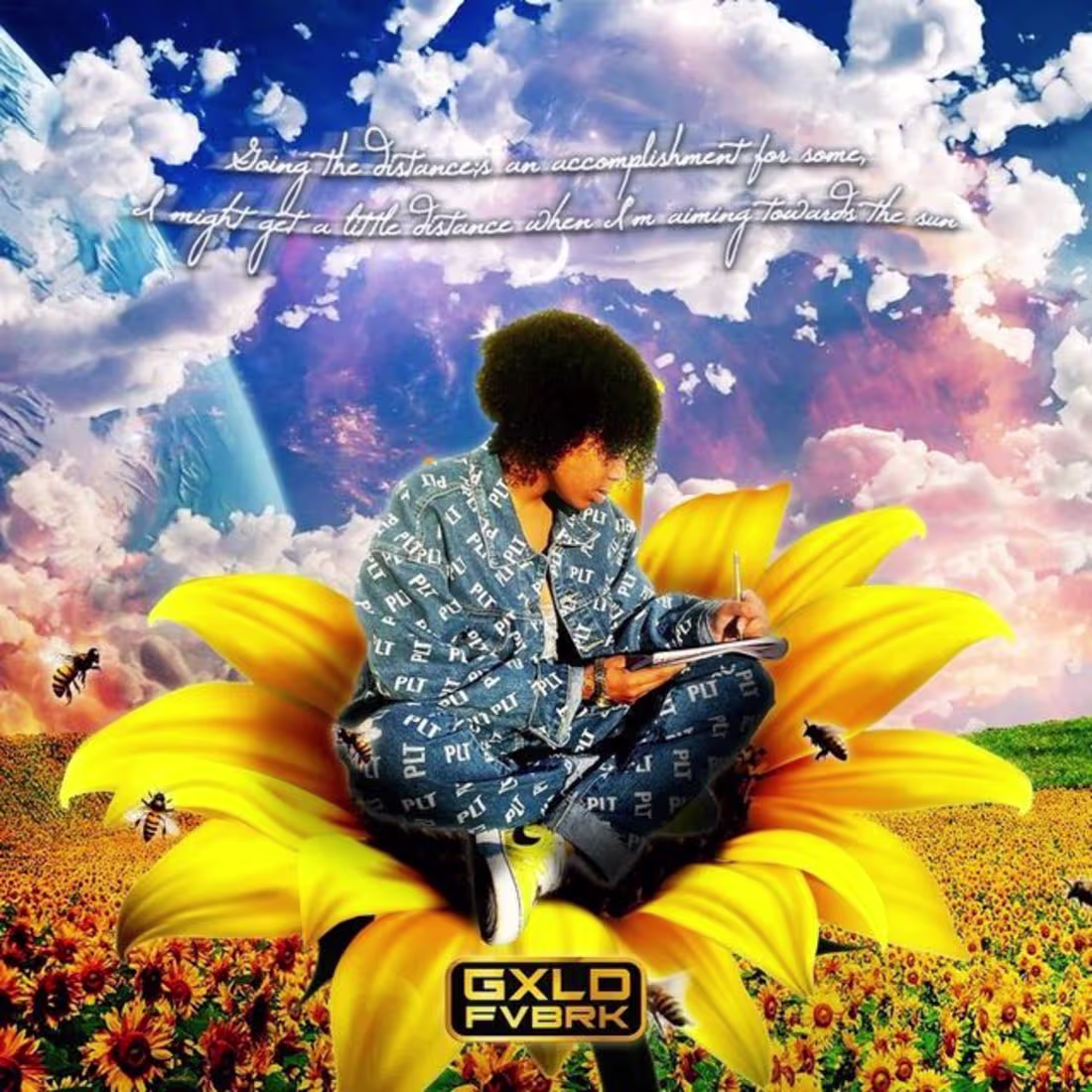 Cover image for Butterfly Pollination