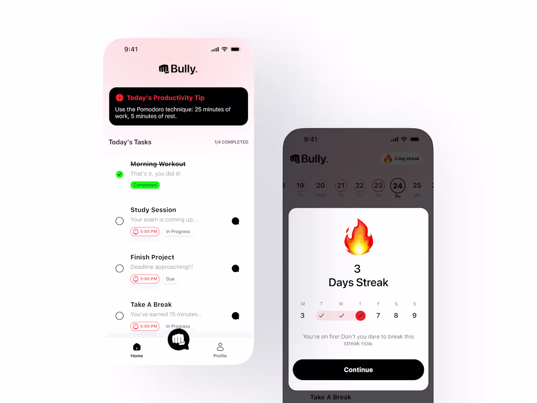 Cover image for Bully — The No-Excuses Task Master