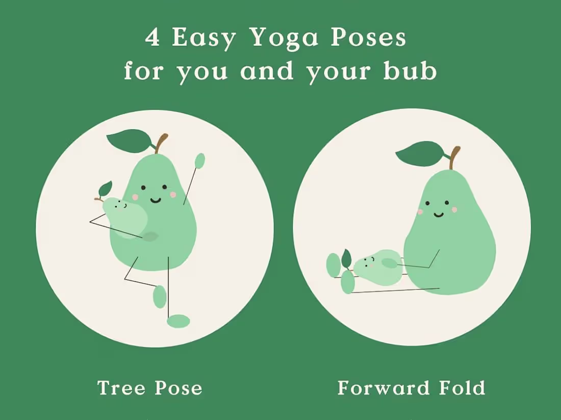 Cover image for Overport Agency