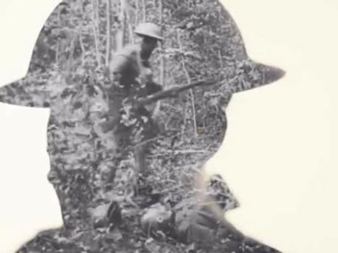 Cover image for VisiSearch