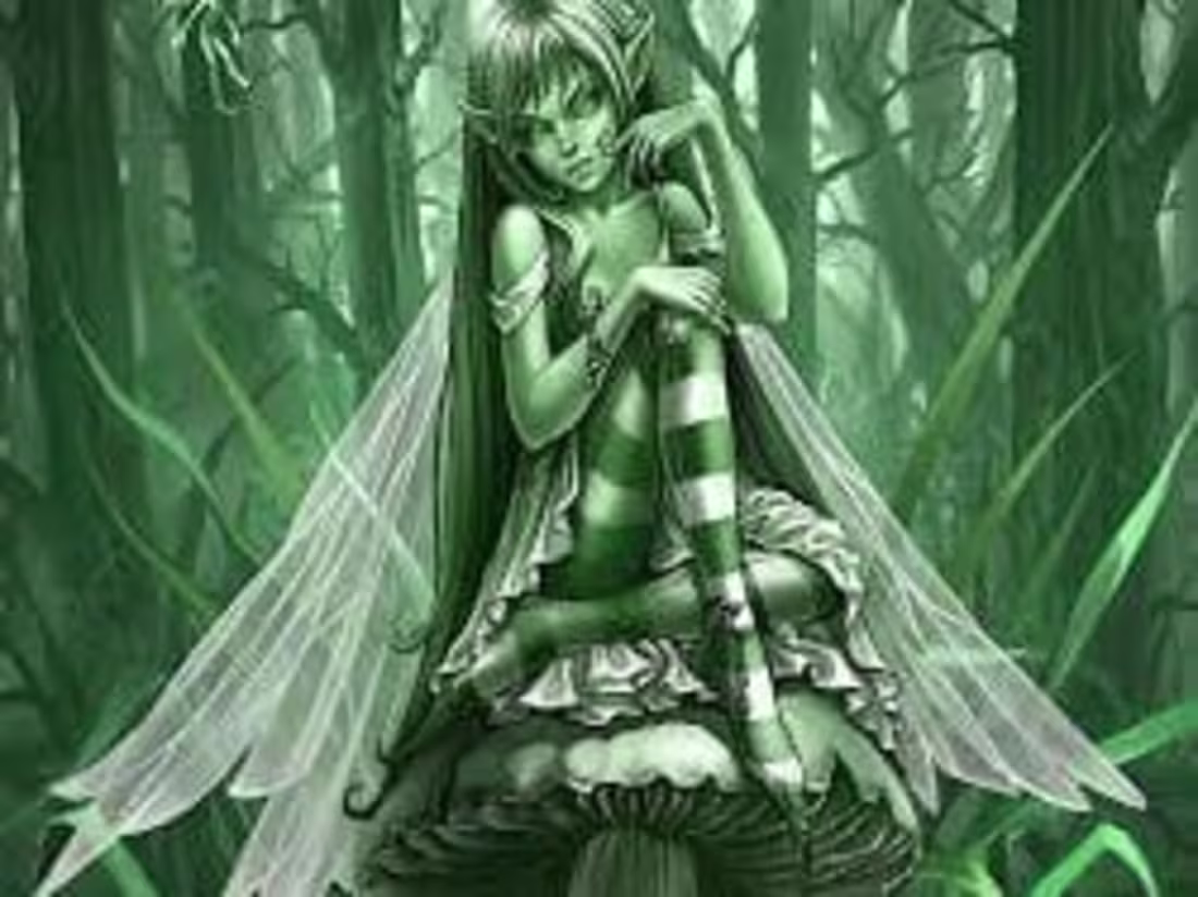 Cover image for stylist