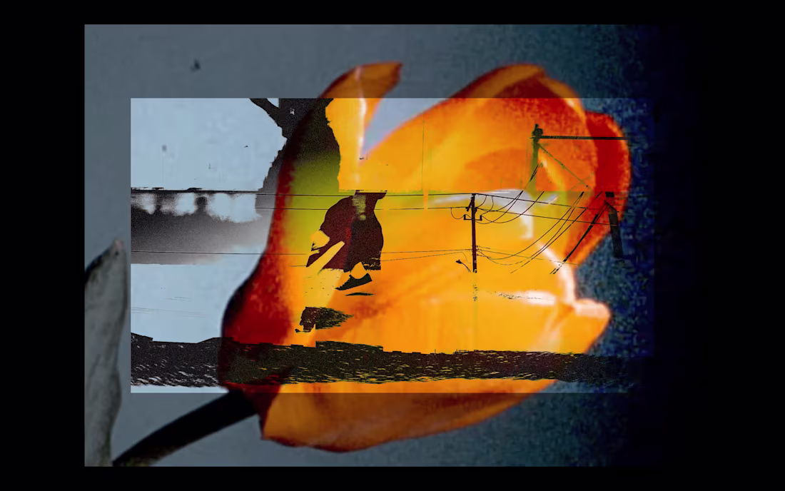 Cover image for Video Art