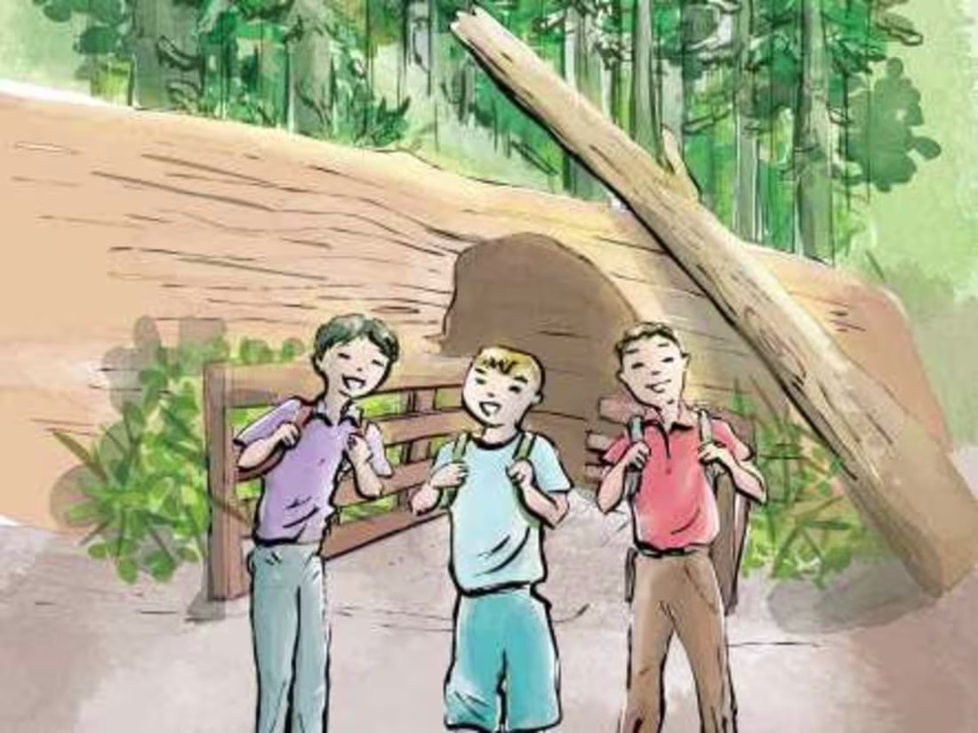 Cover image for Author of 2 children's tales