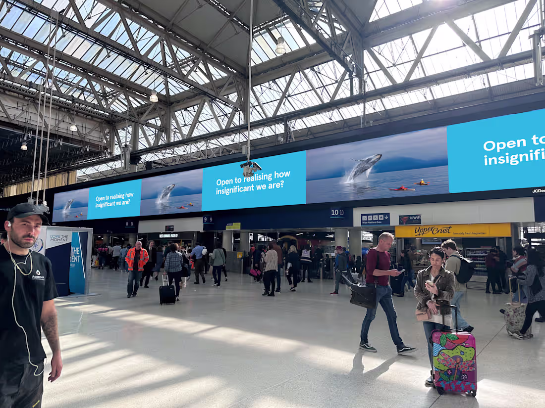 Cover image for Air Transat