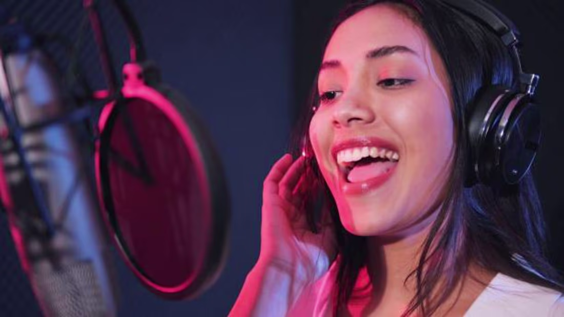 Cover image for Professional vocalist and songwriter