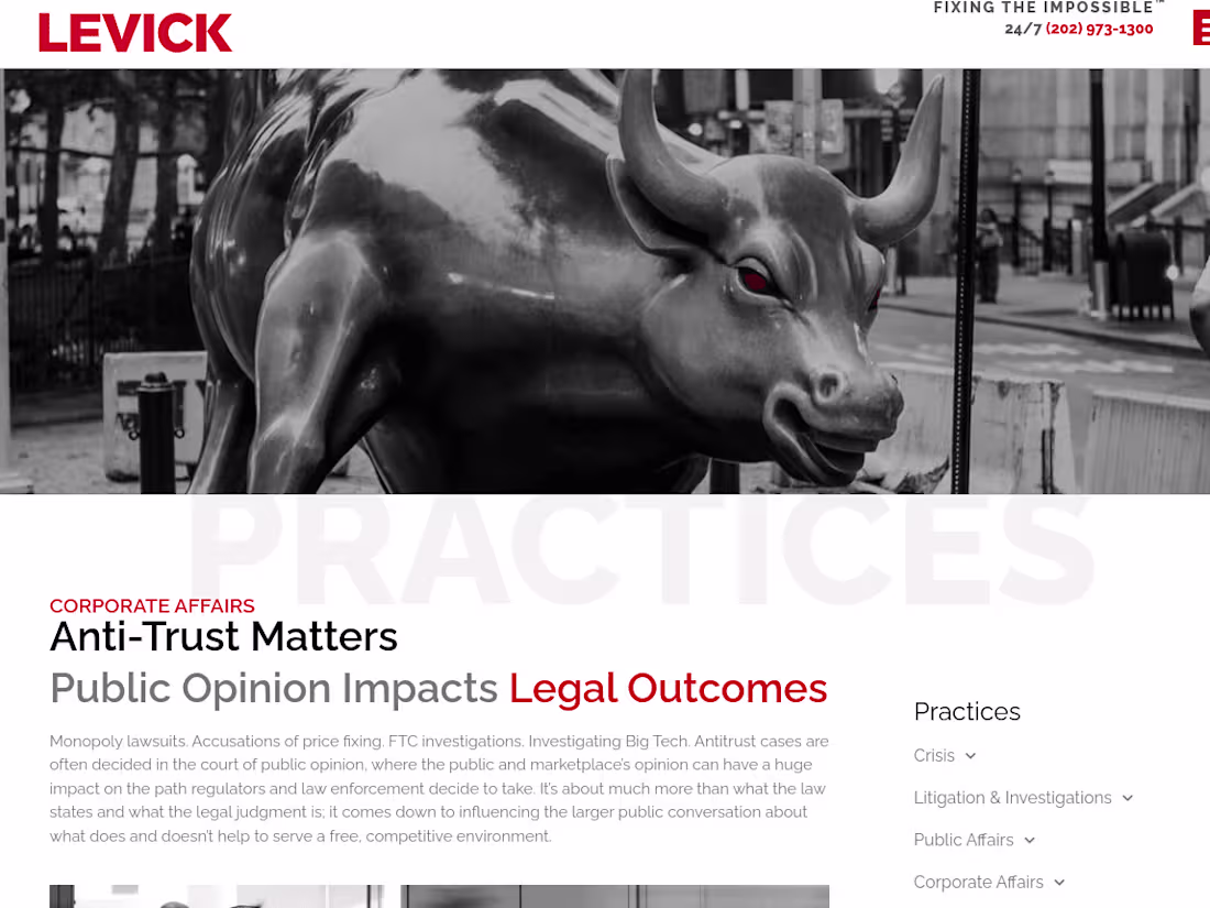 Cover image for LEVICK | Web copy