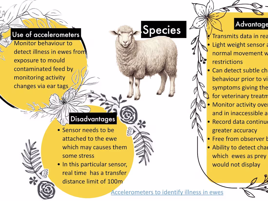 Cover image for Need a presentation?