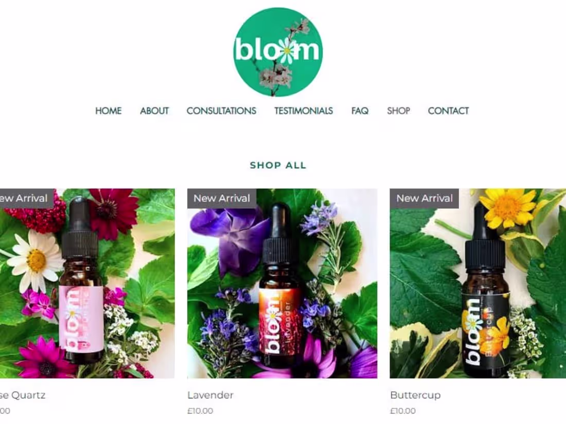 Cover image for Bloom