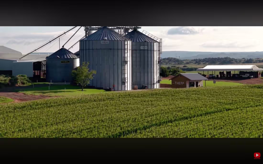 Cover image for Wrote the storyboard, scripted the