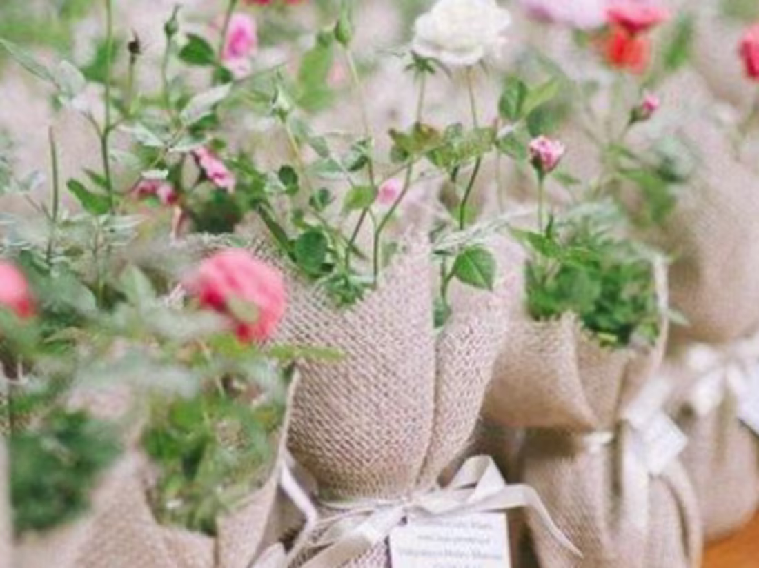 Cover image for Wake Up and Smell the Roses: 5 Tips for a productive morning