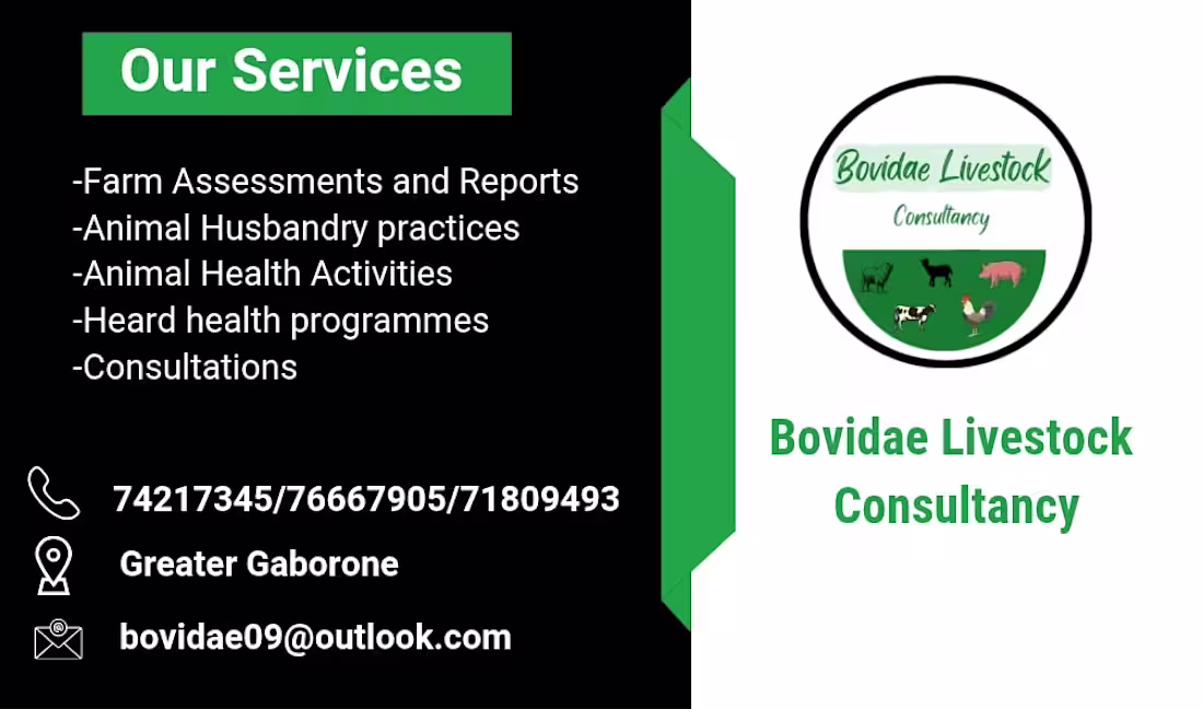 Cover image for Business card design for Bovidae Livestock Consultancy. Clea...