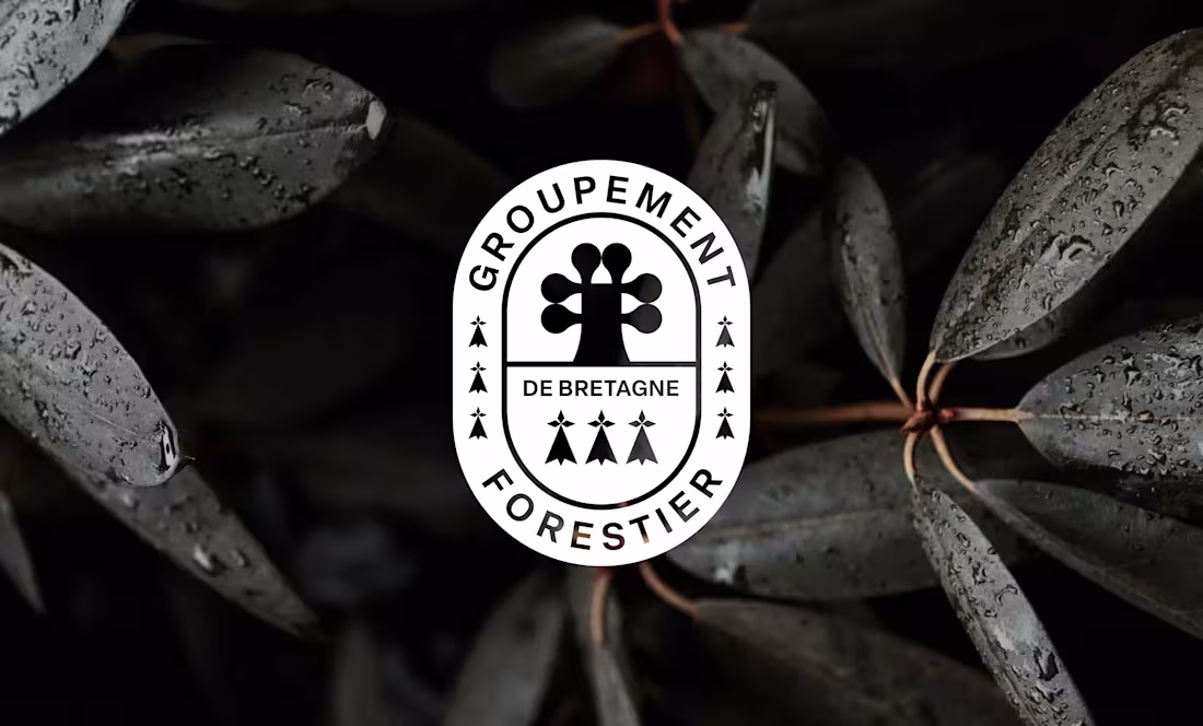 Cover image for Groupement Forestier de Bretagne