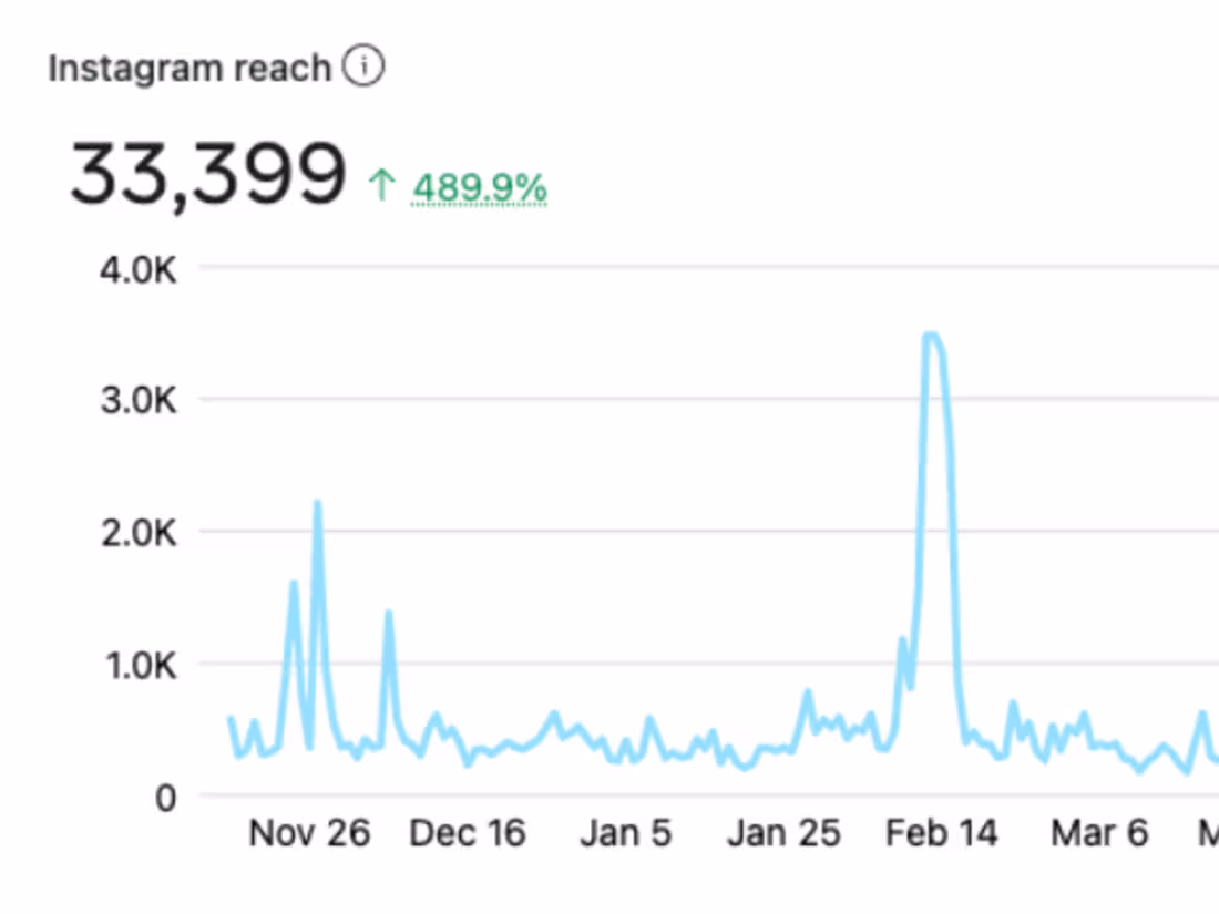 Cover image for Organic Social Media Campaign 