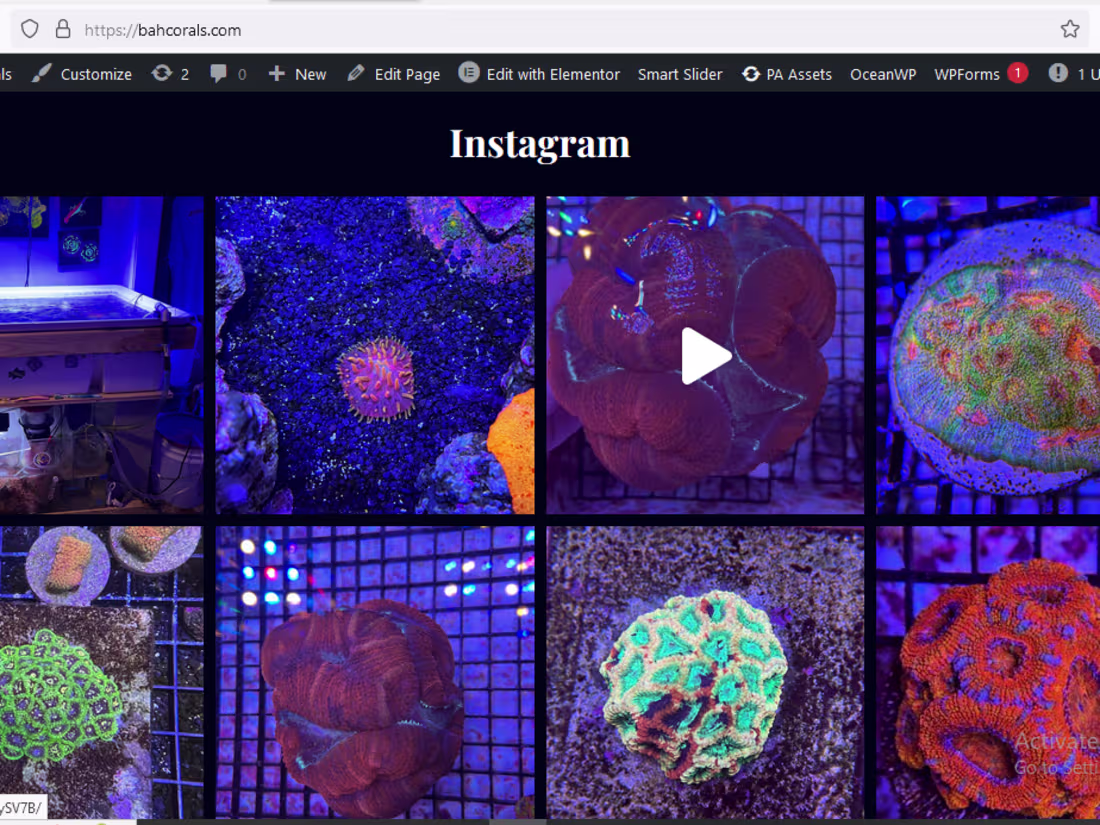Cover image for I will design wordpress site or blog and redesign