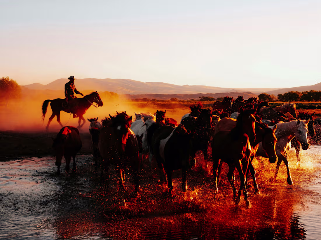 Cover image for Al amin Hasan