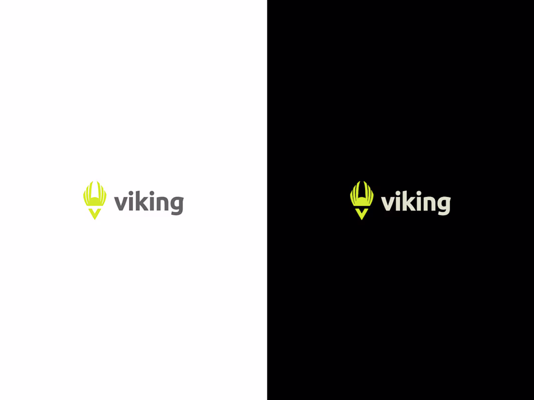 Cover image for The Viking App: Branding 