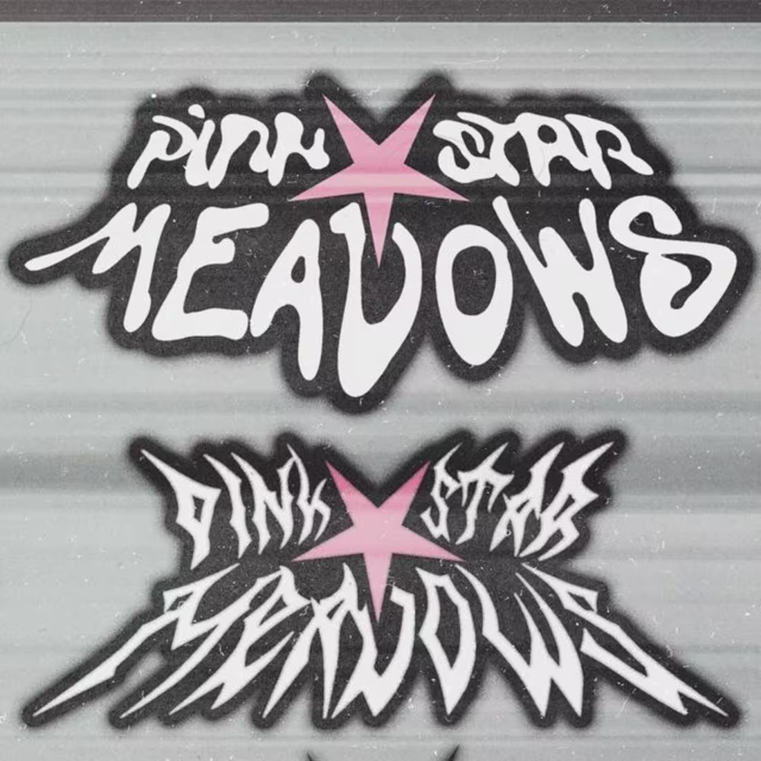 Cover image for Streetwear Logo Design - Pinkstar Meadows