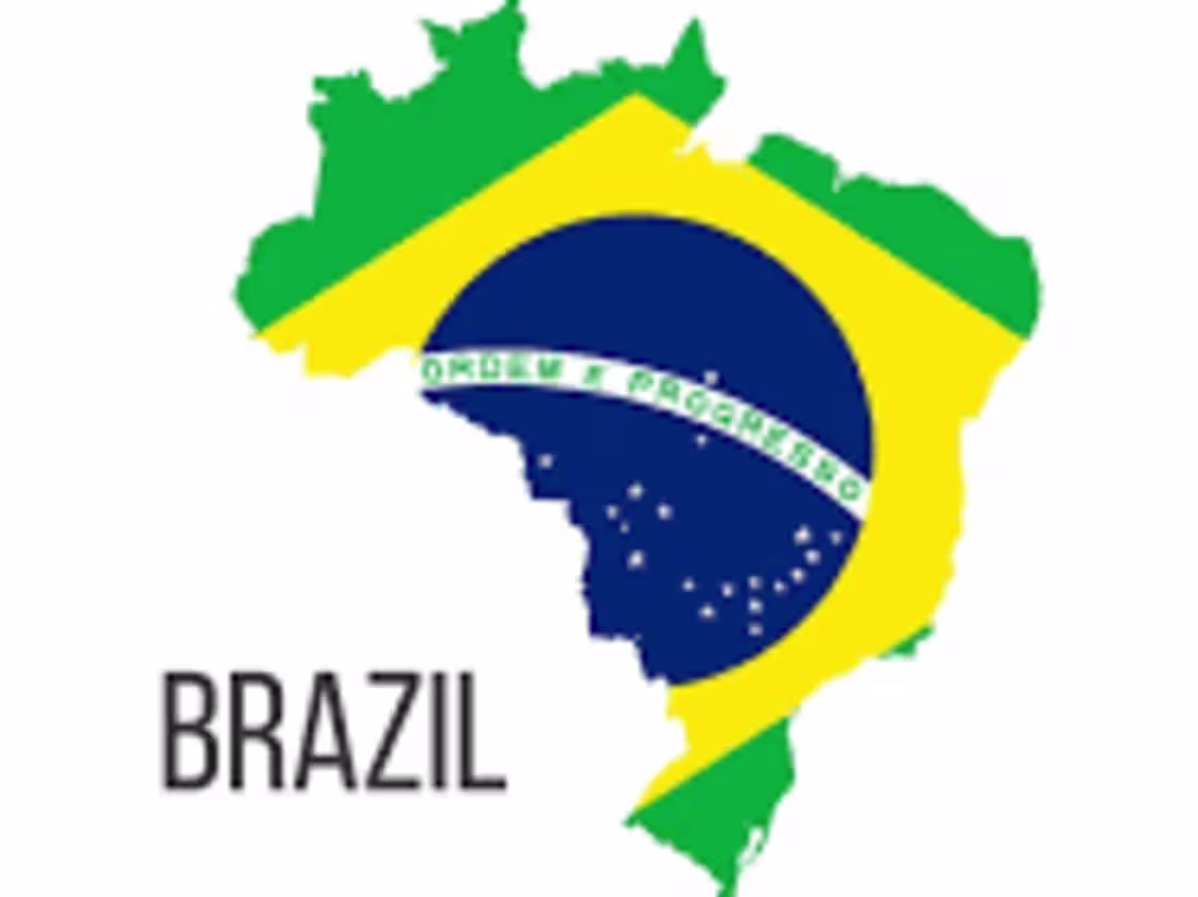 Cover image for Portuguese article + Guide to 100 Financial Words in Portuguese