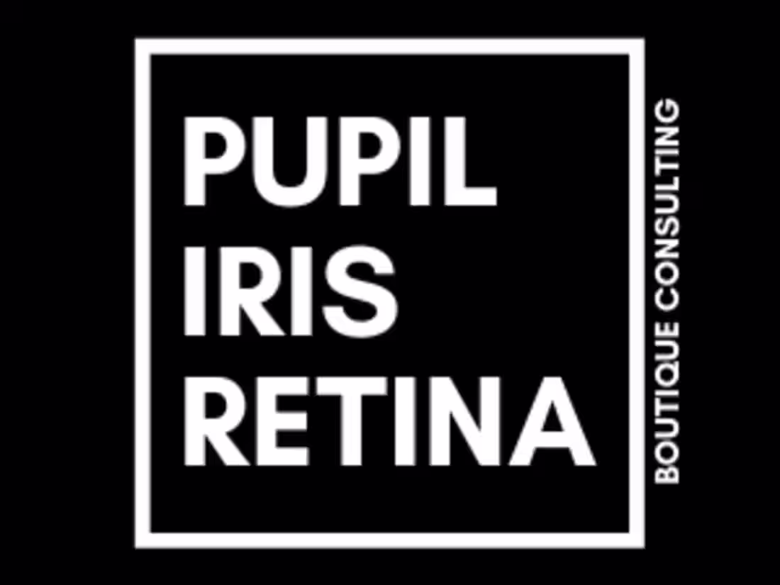 Cover image for Consulting agency - Pupil Iris Retina