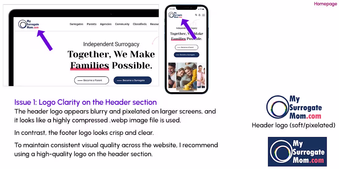 Cover image for 50-Page Report of MySurrogateMom (Order #502)
