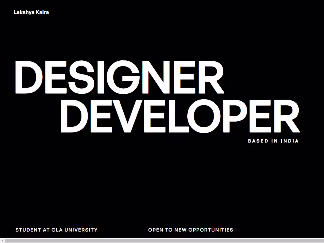 Cover image for My Designer / Developer Portfolio