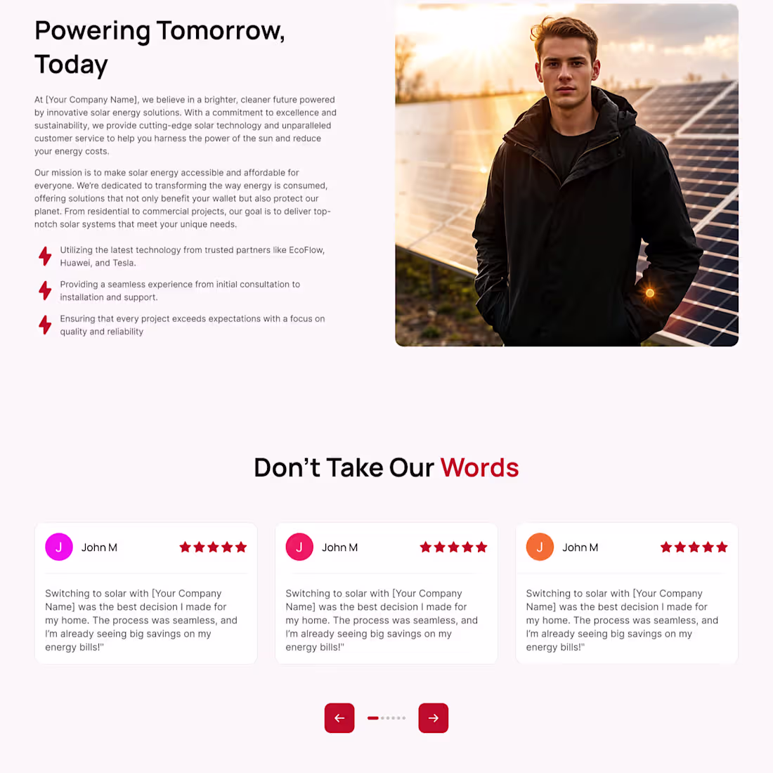 Cover image for Lili Solar Solution Landing Page Dsign and Development