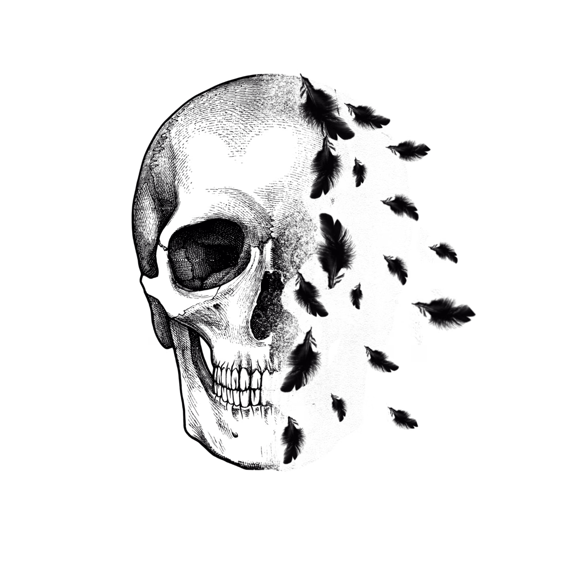 Cover image for Book Cover design for Indie Author