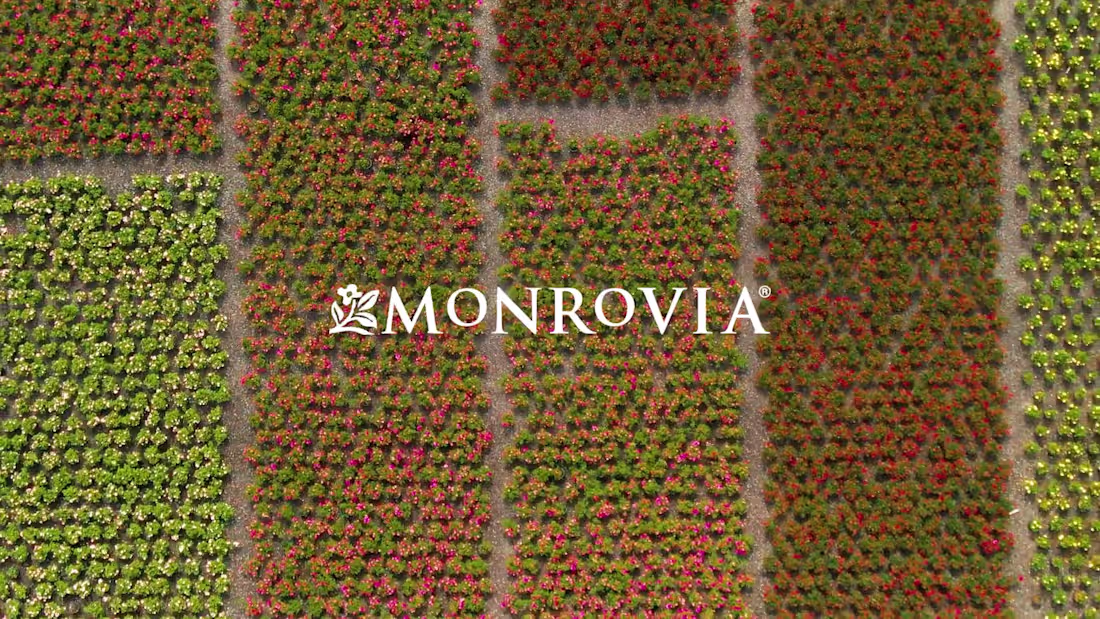 Cover image for Monrovia Sales Sizzle Reel