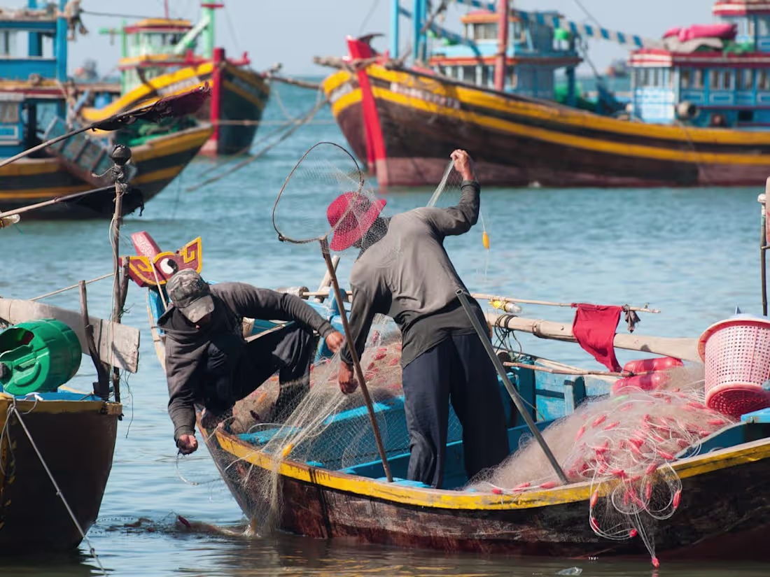 Cover image for Asian Seafood Improvement Collaborative