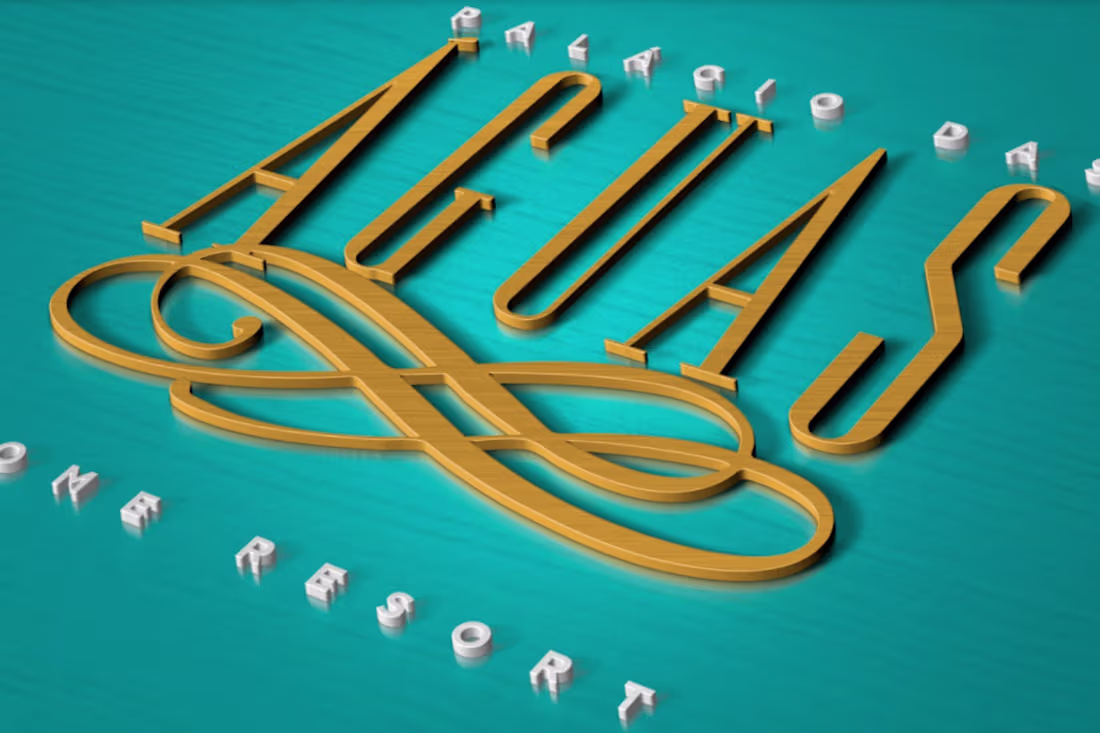 Cover image for Designer