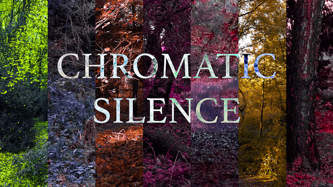 Cover image for 
This project explores how selective