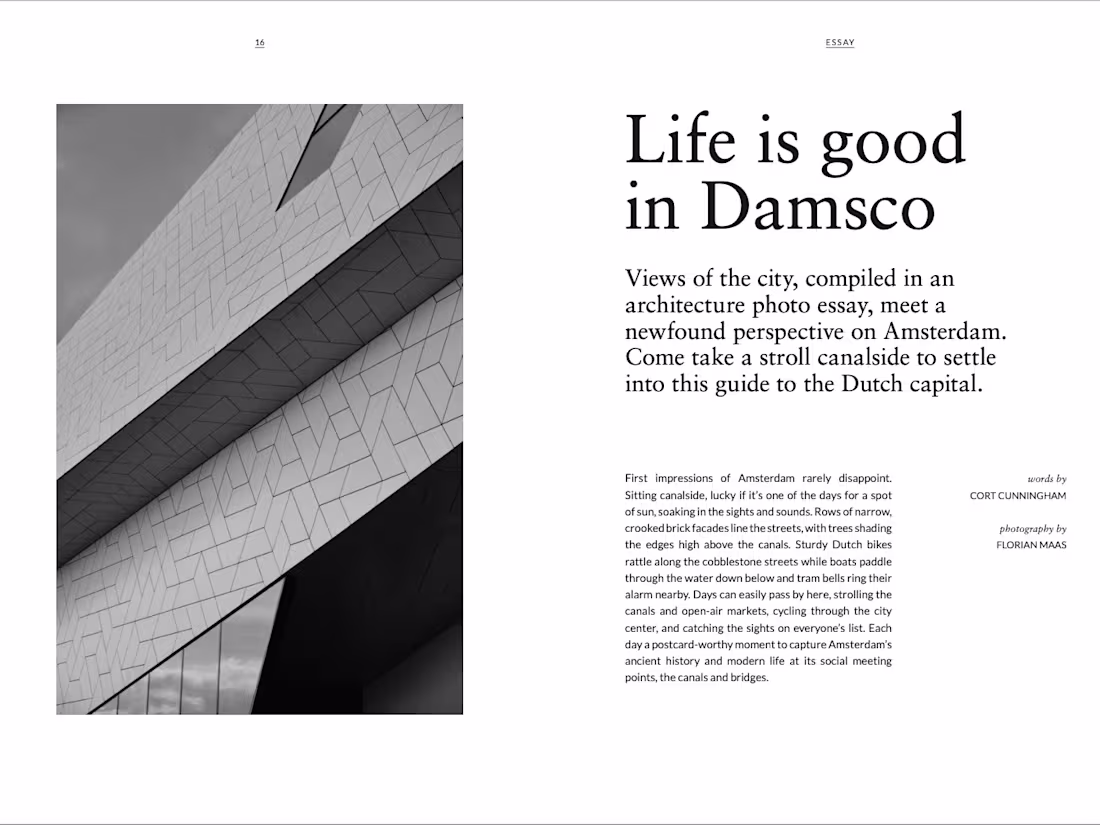 Cover image for Essay writing and long form content