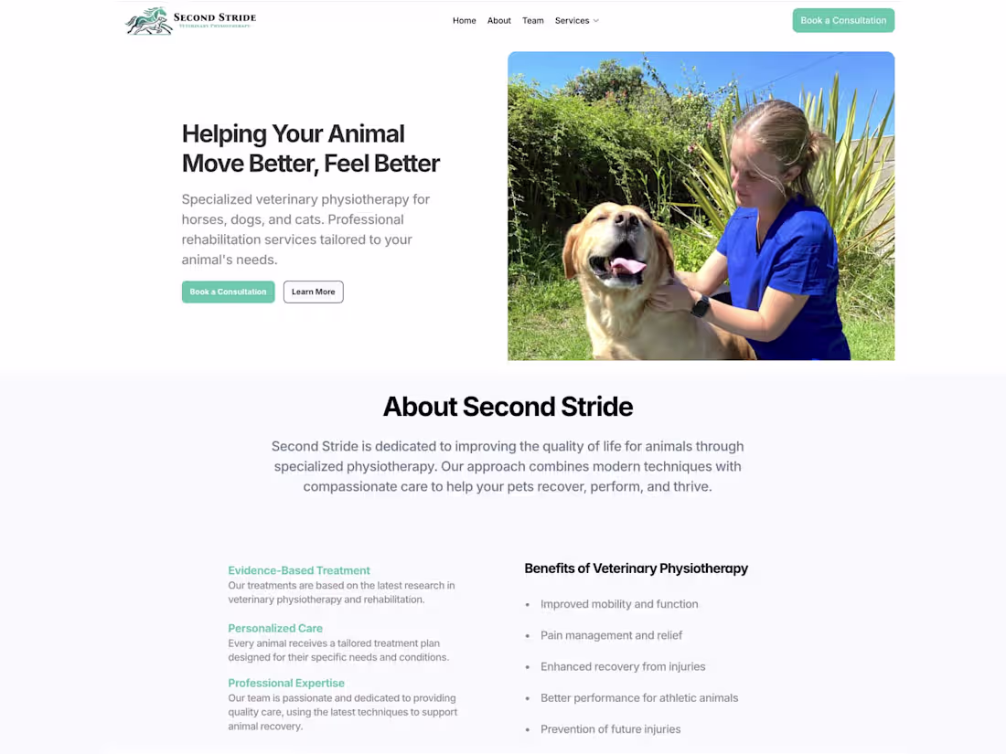 Cover image for Second Stride