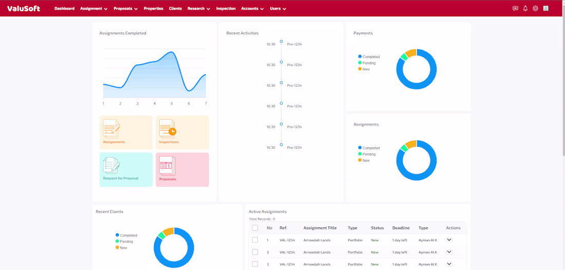 Cover image for Valusoft