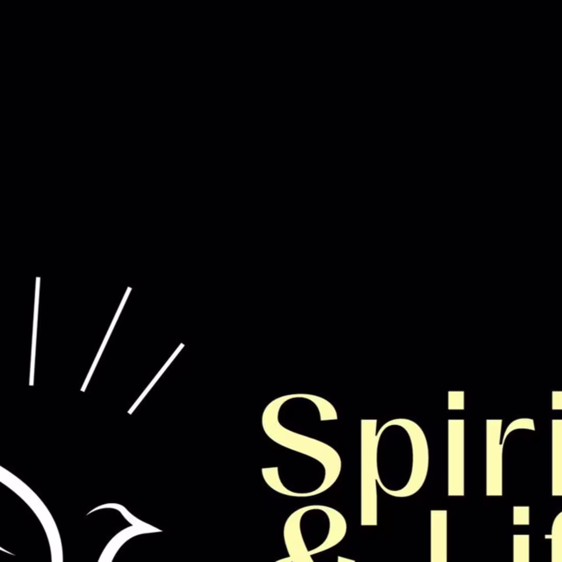 Cover image for Emmanuel Nwaobasi on Instagram: “Spirit & Life Supernatural Chu…