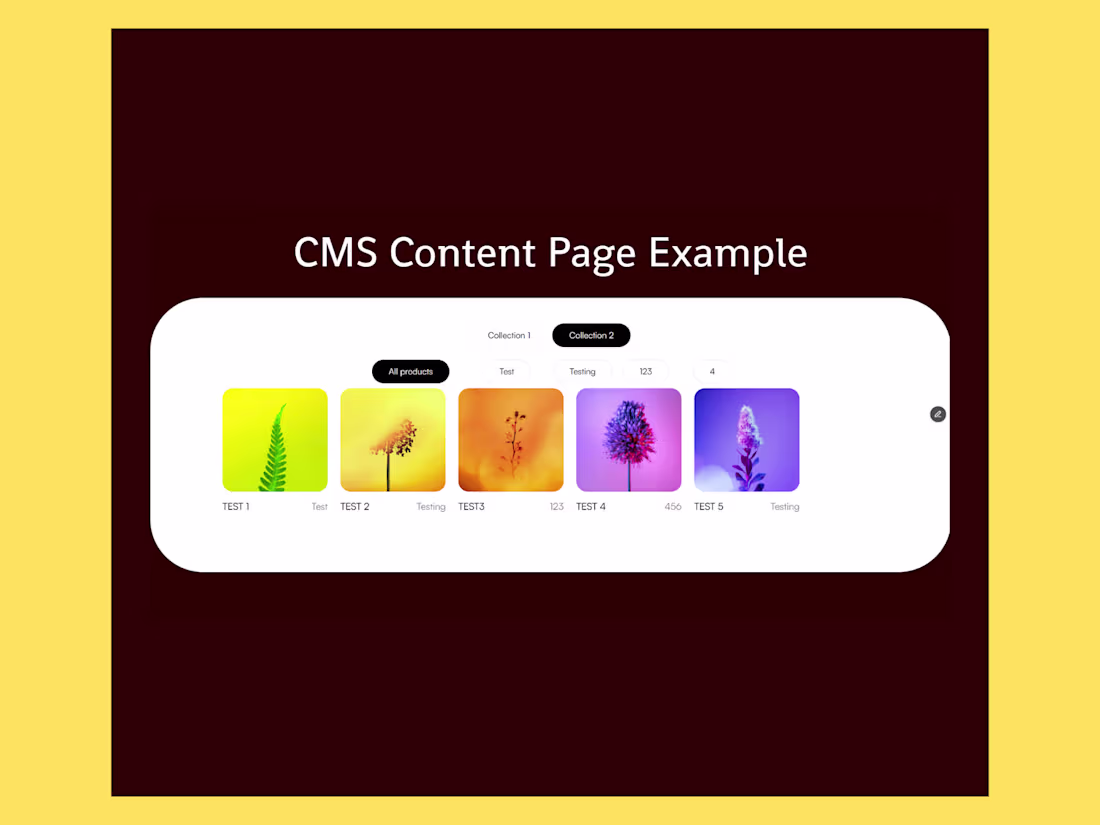 Cover image for CMS Filtering between Collections and Category