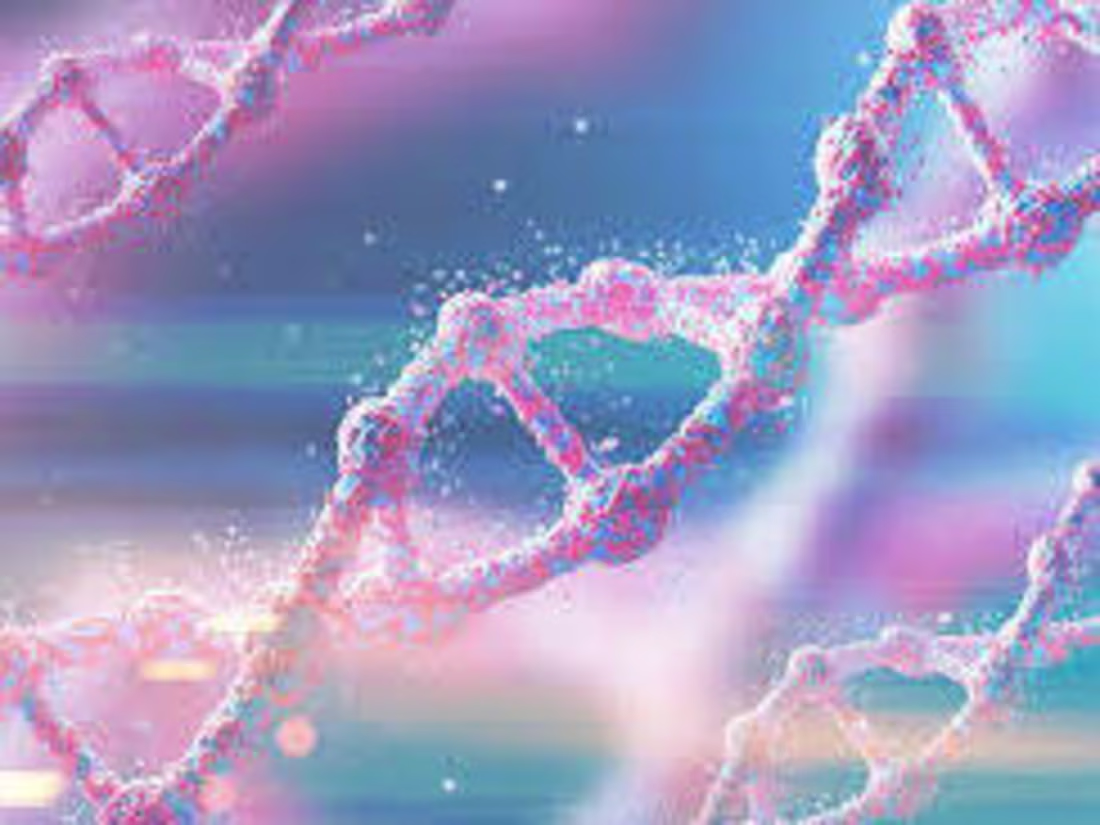 Cover image for Genomic Primer Alignment Tool