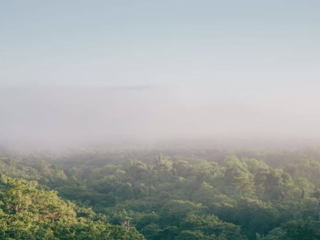 Cover image for The aftermath of COVID-19: 4 years onward