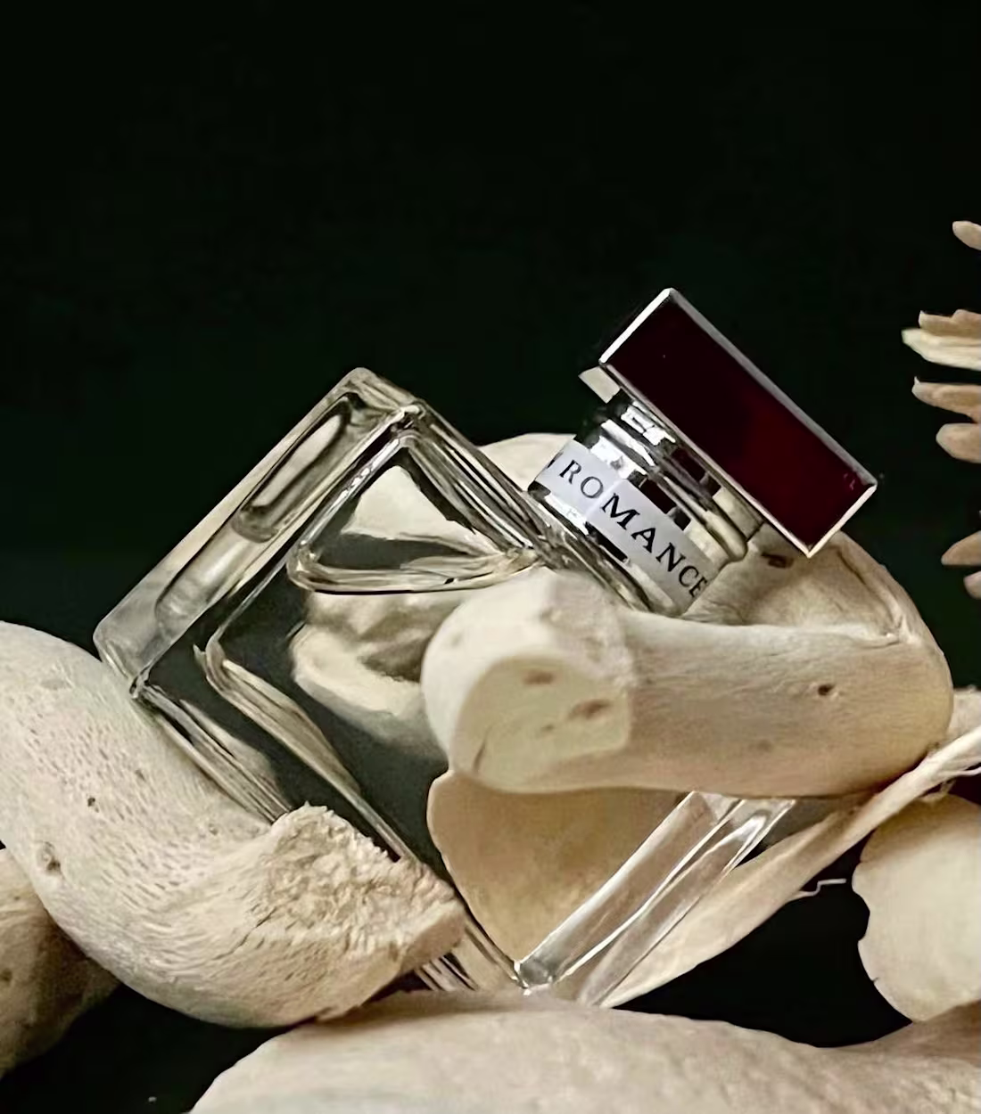 Cover image for Product Stills