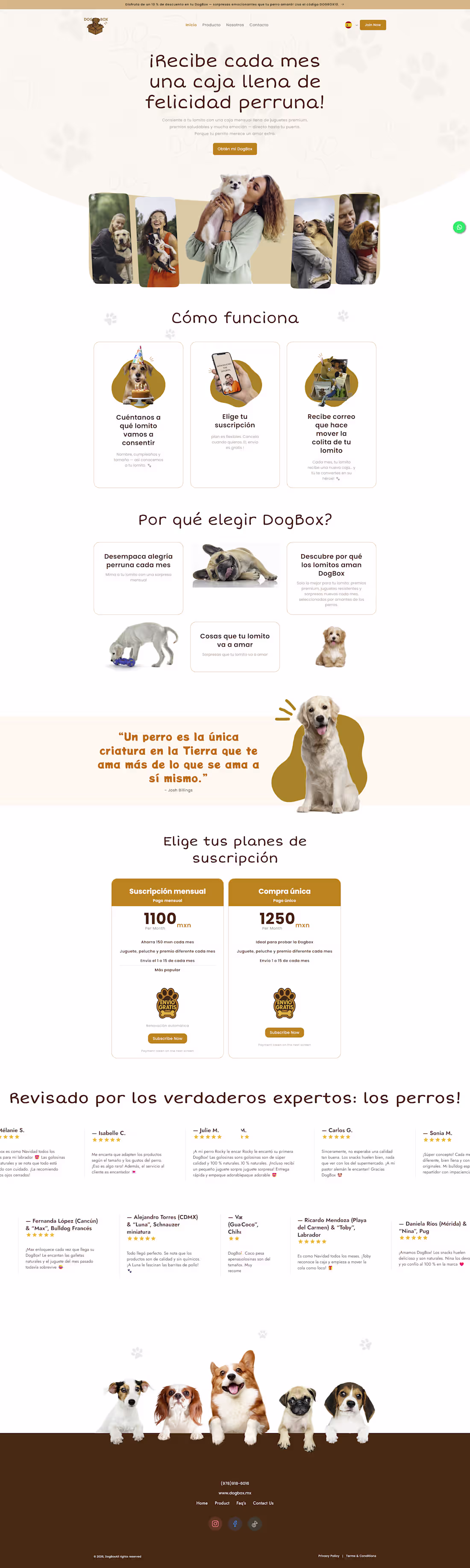 Cover image for Converted a Figma design into
