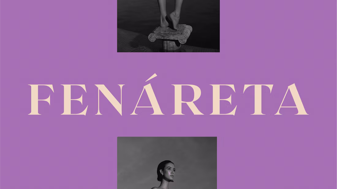 Cover image for Fenáreta
