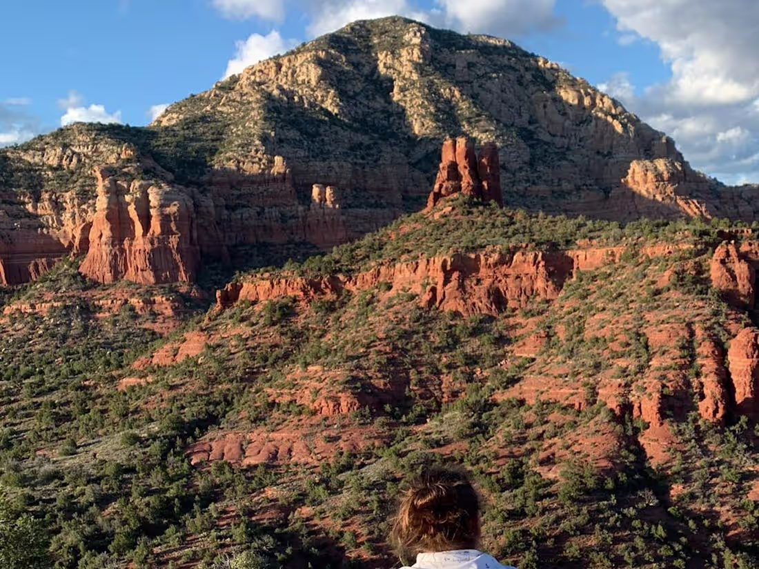 Cover image for Survival Spanish Courses