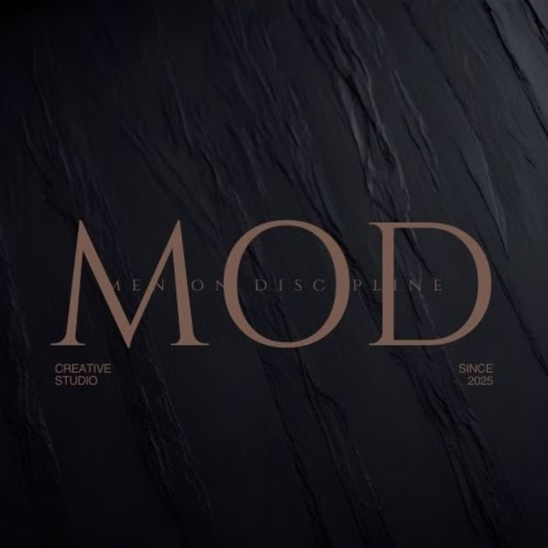 Cover image for king’s copy