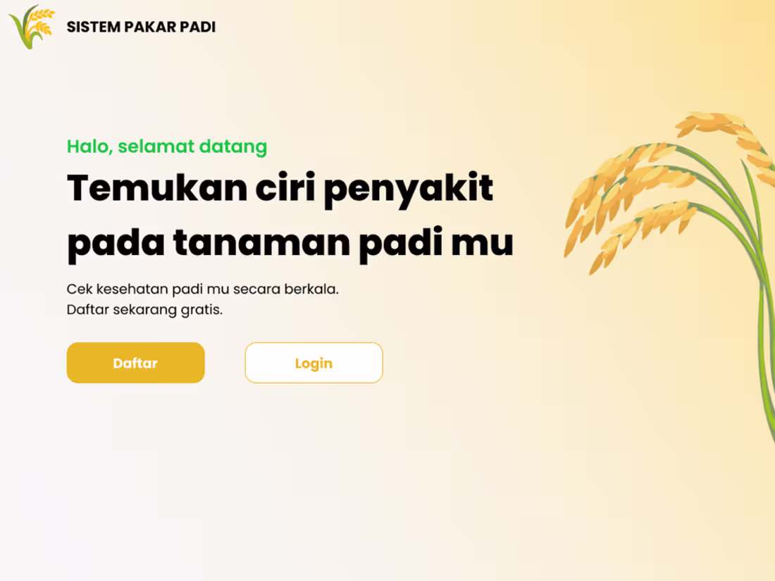 Cover image for The Disease Detection System for Rice Plants