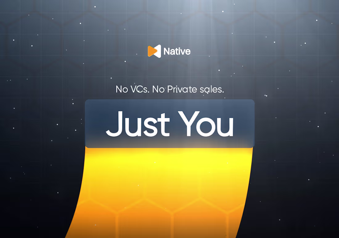 Cover image for Native - Visual Designs