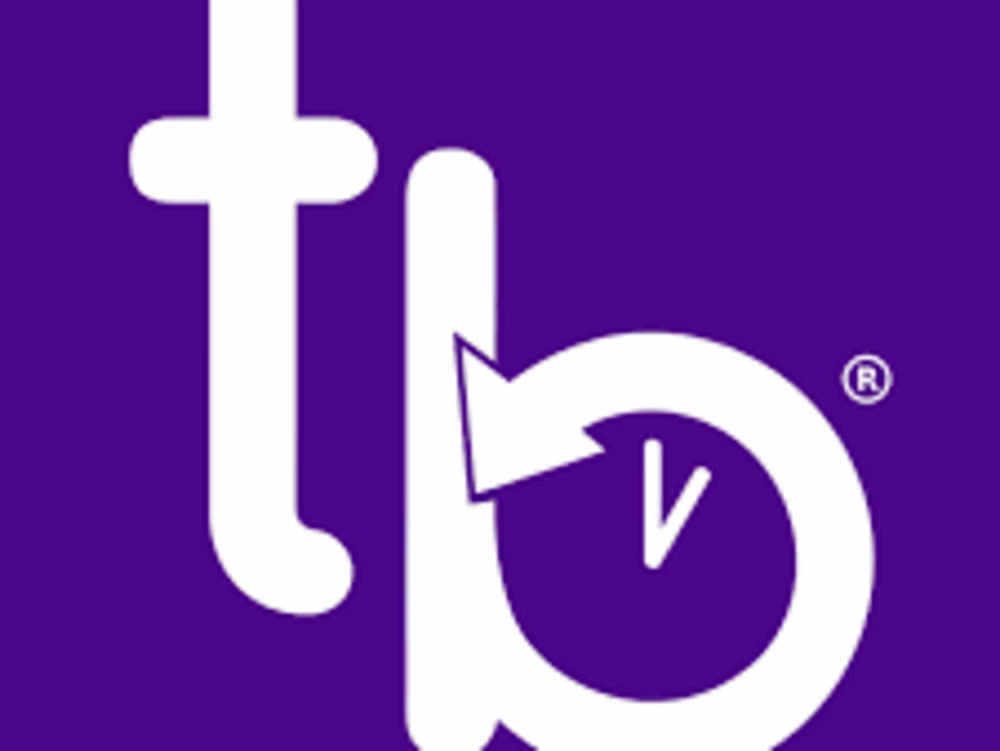 Cover image for TIMEBURST